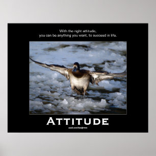 Posters inspiradores da atitude do pato do