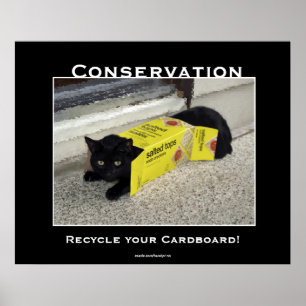 Posters inspiradores do gato preto