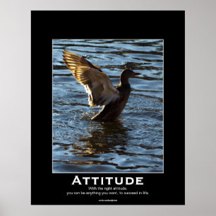 Posters inspiradores do pato do pato selvagem da