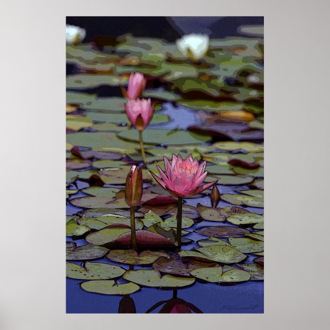 Posters Lily Pad Art - 24x36 - outros tamanhos dis (Frente)