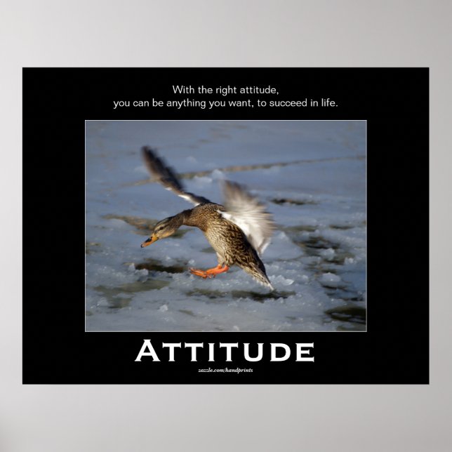 Posters Motivacionais do Pato de Attitude Mallard (Frente)