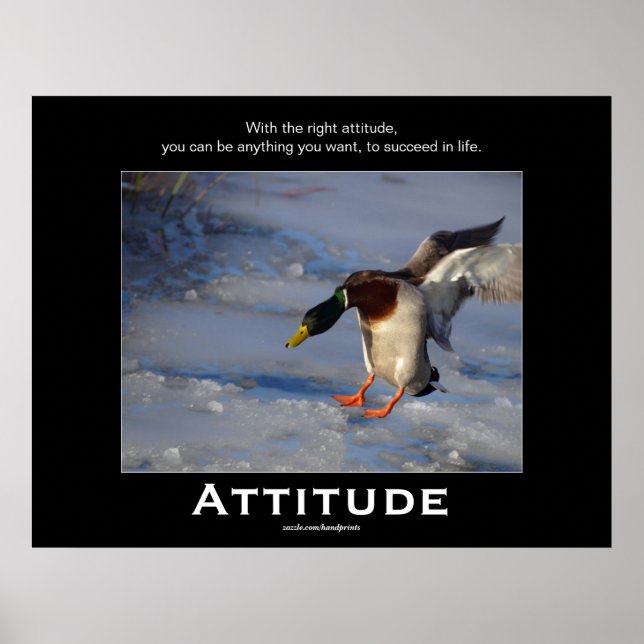 Posters Motivacionais do Pato de Attitude Mallard (Frente)