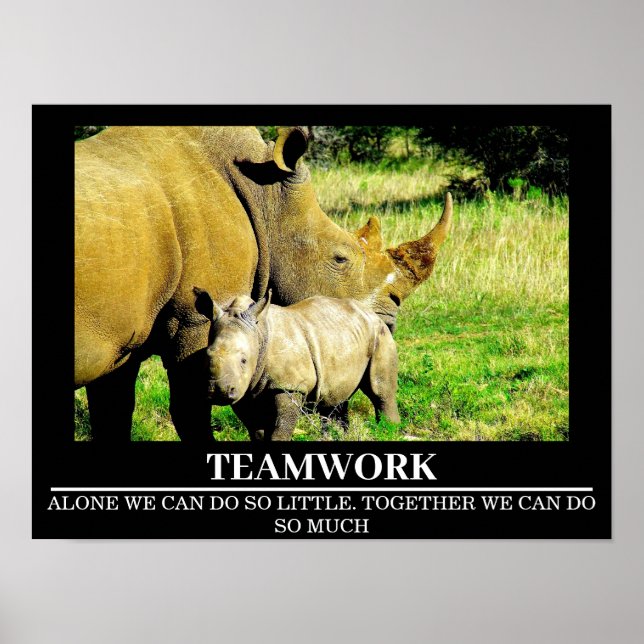 Posters Motivacionais Wildlife Rhinos Trabalho em  (Frente)
