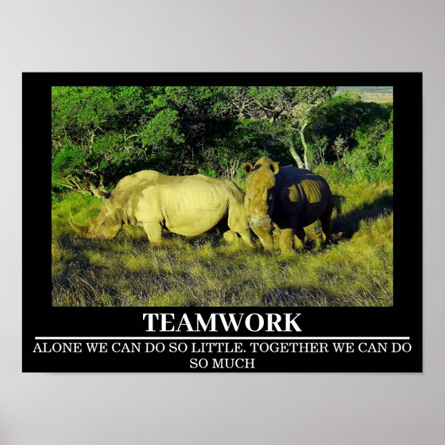 Posters Motivacionais Wildlife Rhinos Trabalho em  (Frente)