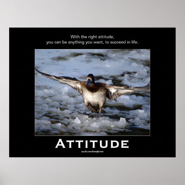 Posters Motivadores de Atitude de Pato de Bufflehe (Frente)