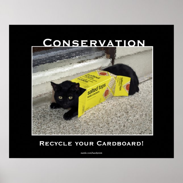 Posters Motivadores de Gato Preto (Frente)