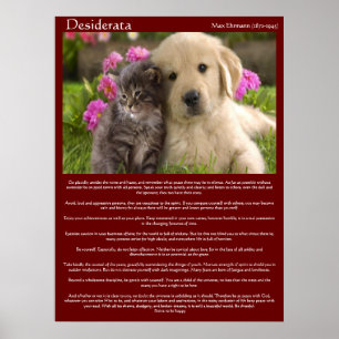 Posters novos da luta do amor dos Desiderata