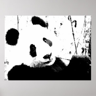 Posters Panda - Face Panda Preta e Branca