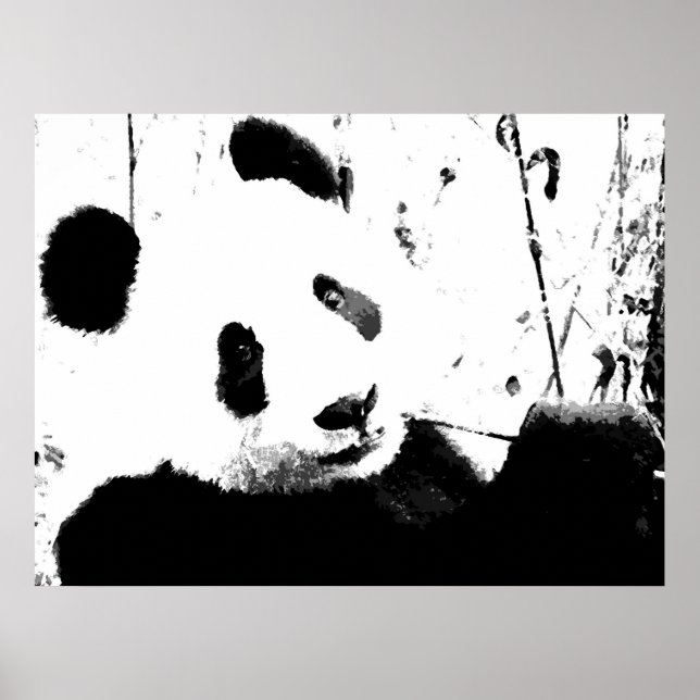 Posters Panda - Face Panda Preta e Branca (Frente)