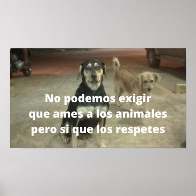 Posters respeitados a los animales (Frente)