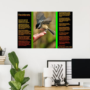 POSTERS Sparrow Voadores DESIDERADOS
