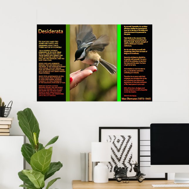 POSTERS Sparrow Voadores DESIDERADOS (Escritório em casa)