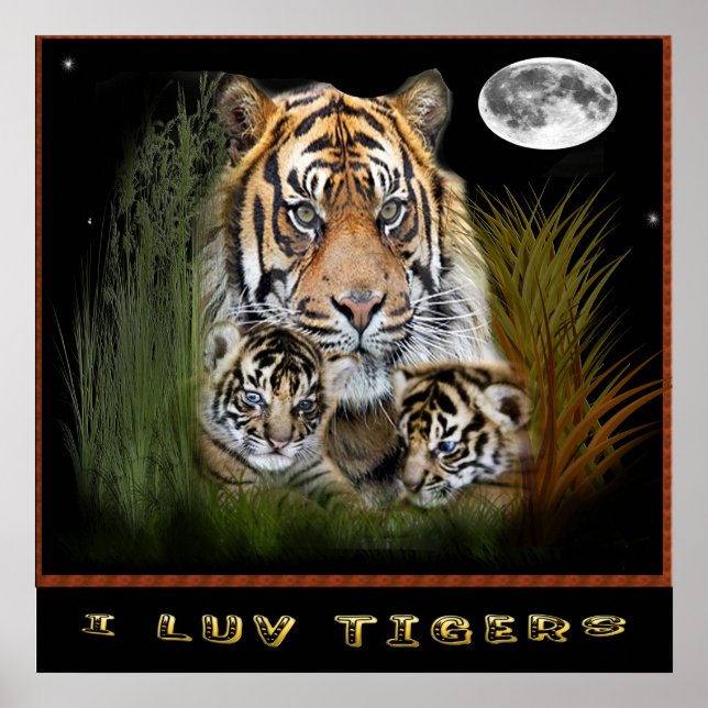 Posters Tiger (Frente)