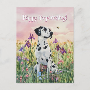 Posto Dalmático - Cartão postal