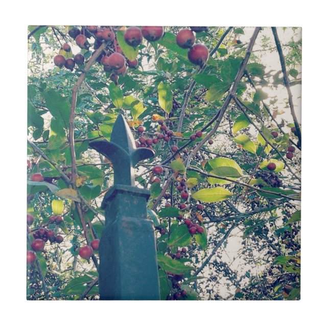 Posto de cerca (Frente)