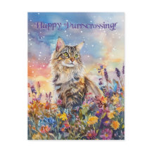 Posto de Maine Coon - Cartão postal