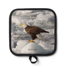 Pote Bald Eagle
