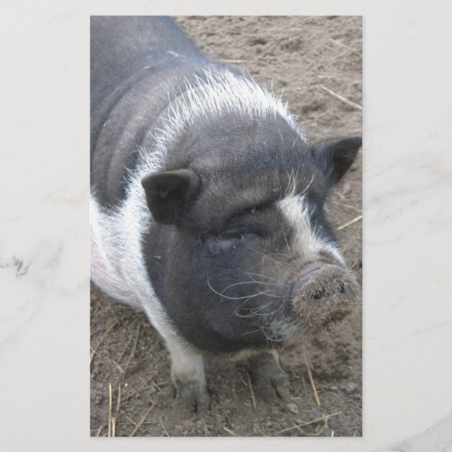Pote Belled Pig (Frente)