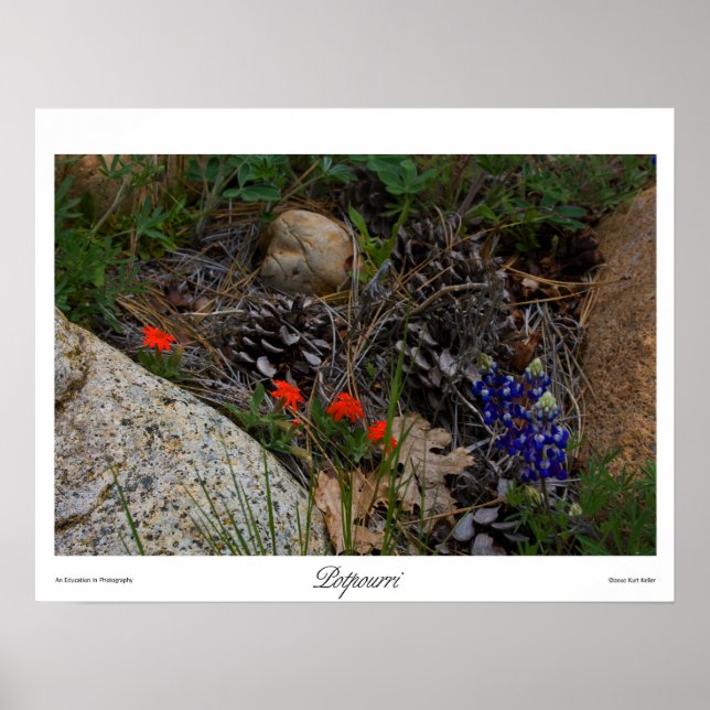 Potpourri Impressão (Frente)