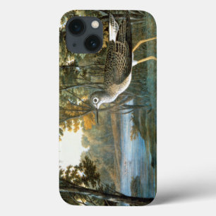 Pouco Yellowlegs