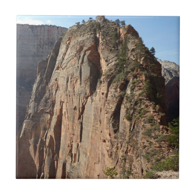 Pouso dos Anjos no Parque Nacional Zion (Frente)