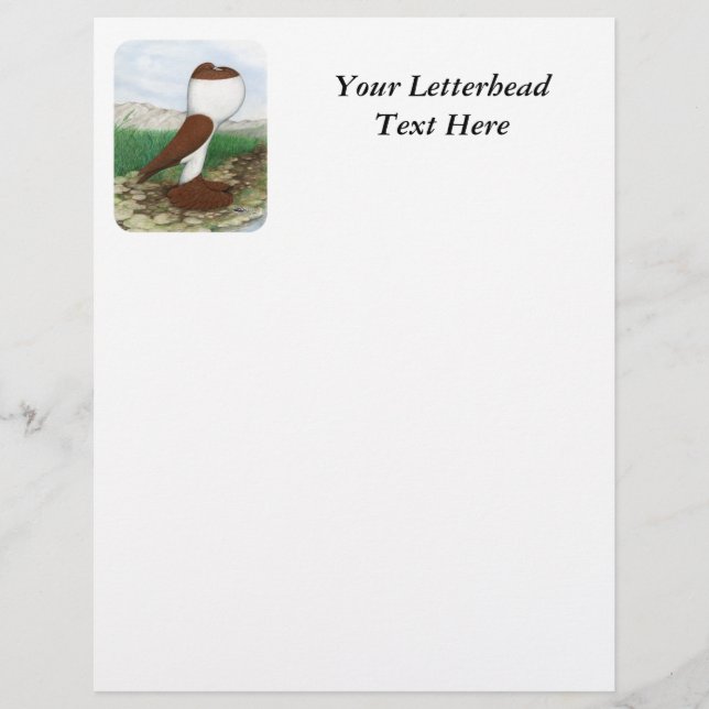 Pouter Pigeon Red Hana (Frente)