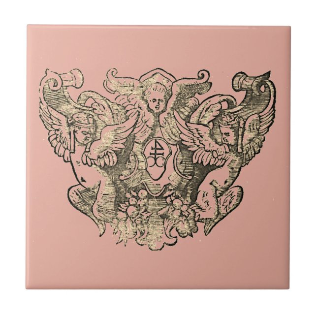 Powdery pink Angels – Coat of arms Emblem baroque (Frente)