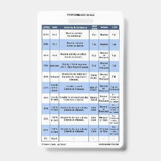 PPS / KPS Crachá Buddy para Enfermeiras do Hospita