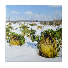 Praça de inverno na neve - Cerâmica Personalizada