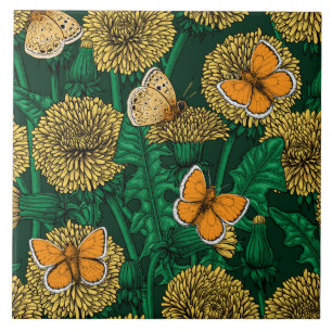 Prado de Dandelion em verde escuro