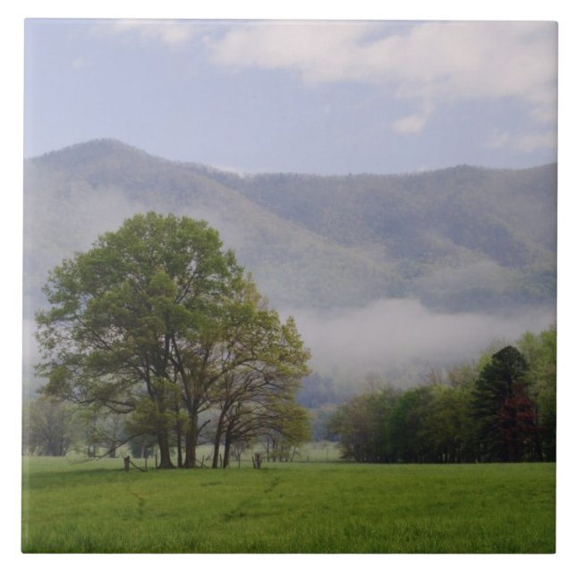 Prado enevoado e Rich Mountain, Cades Cove, (Frente)