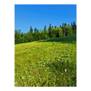 Prado Verde dos Cárpatos – Impressão de Montanha d