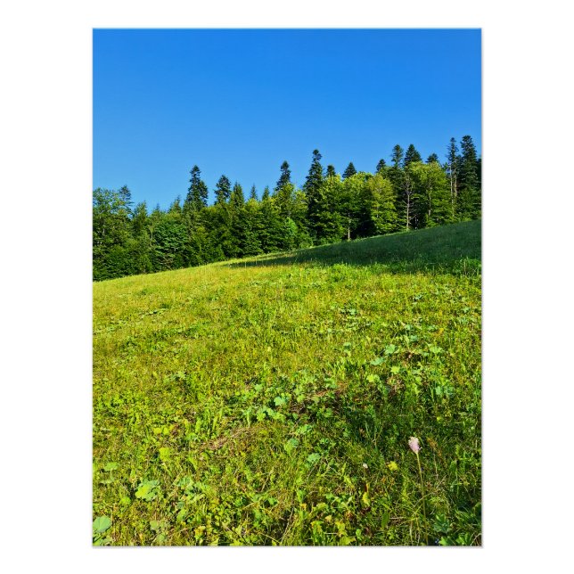 Prado Verde dos Cárpatos – Impressão de Montanha d (Frente)