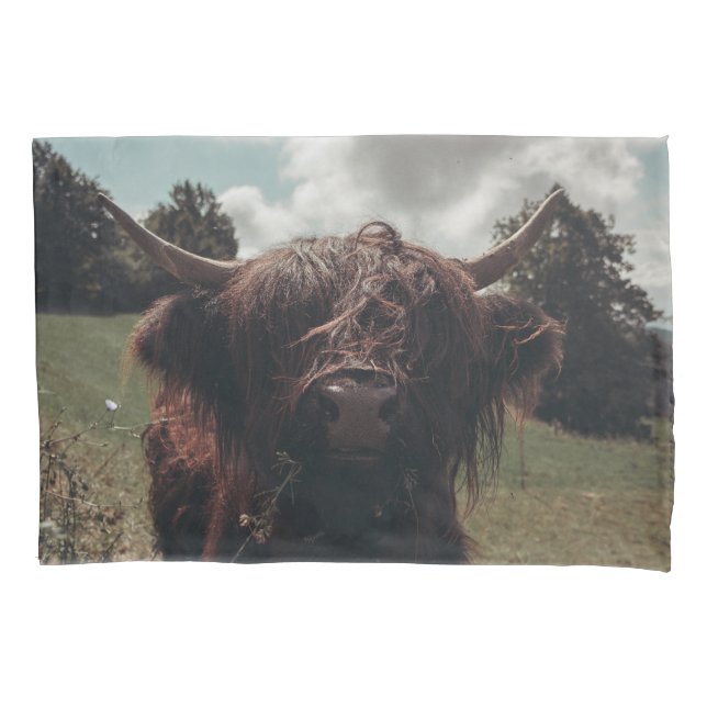 Prados negros e pastagens de vaca escocesa (Frente)