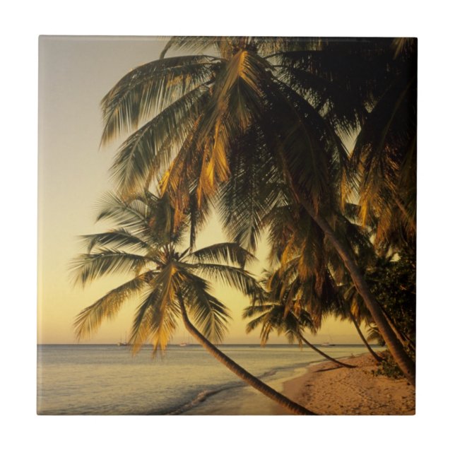 Praia ao pôr do sol, Trinidad (Frente)