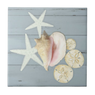 Praia Blue Cottage Starfish Sandoz Conch Shell