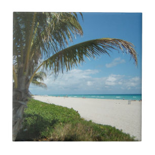 Praia branca w/Palm da areia