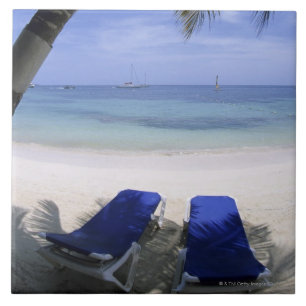 Praia, cadeira de sala de estar, palmeira,