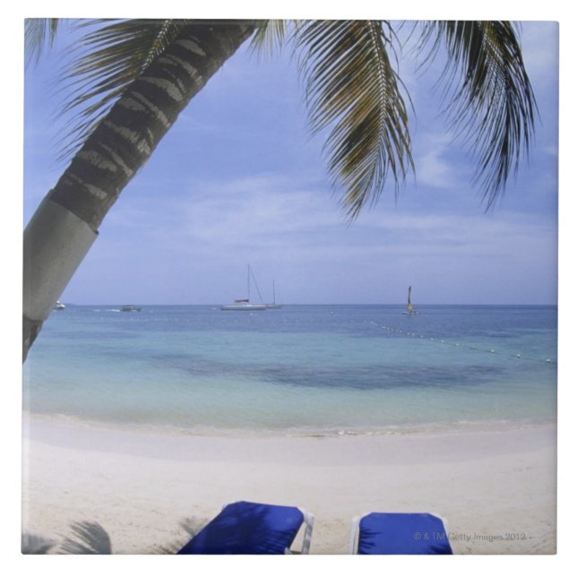 Praia, cadeira de sala de estar, palmeira, (Frente)