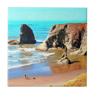 Praia caminha com Cachorro no Face Rock Park em Ba