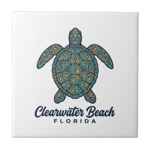 Praia de Clearwater Flórida Tartaruga Marinha Dese