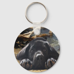 Praia do chaveiro de labrador retriever