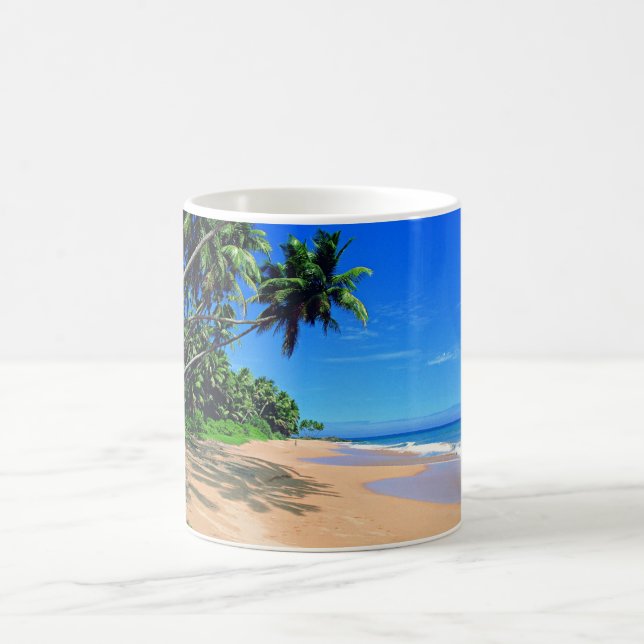 Praia do paraíso e caneca tropicais dos palmtrees (Centro)