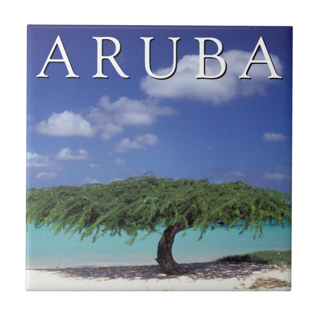 Praia Eagle | Caribe, Aruba (Frente)