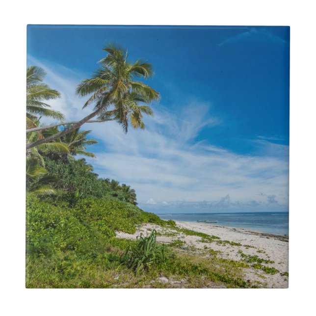 Praia Kolovai com Palmeiras (Frente)