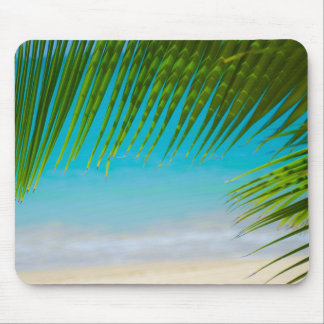Praia Mousepad da palmeira