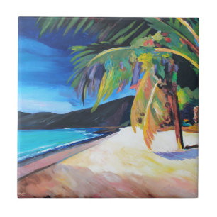 Praia na baía St Thomas E.U. Virgin Islands de