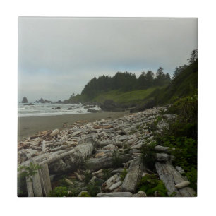 Praia Oculta I no Parque Nacional de Redwood