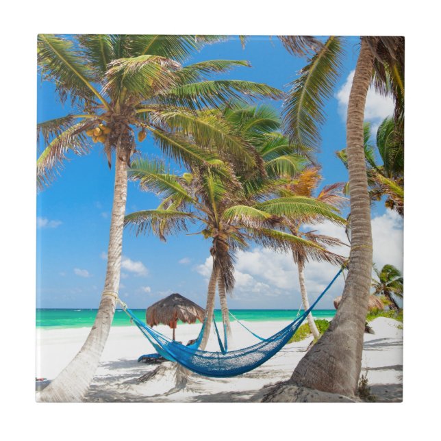 praia tropical (Frente)