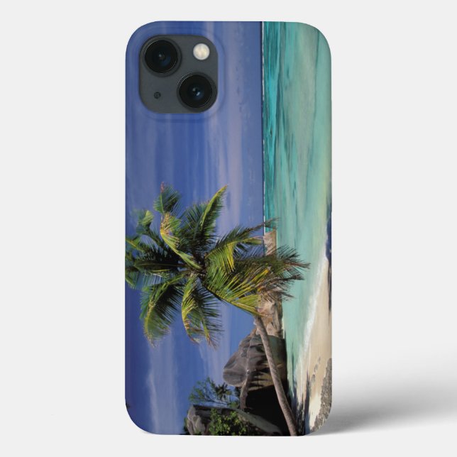 Praia Tropical, Anse Sourse D'Argent, La Digue (Verso)